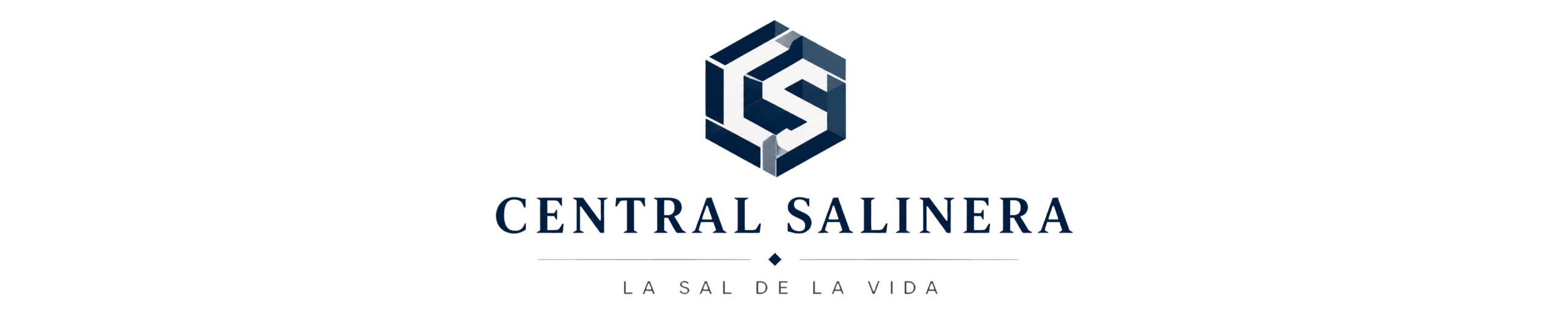 CENTRAL SALINERA