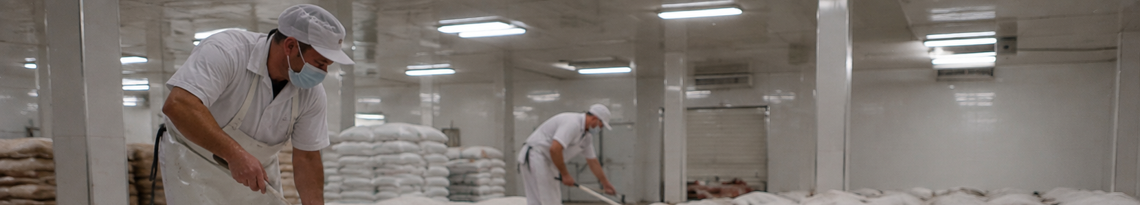 sal alimentaria en saladero de jamon
